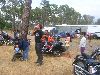 Cliquez ici pour voir l'image (DSCN6517.JPG)