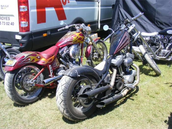 webDSCF0916
