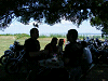 Cliquez ici pour voir l'image (DSCF2780.JPG)
