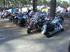 Cliquez ici pour voir l'image (DSCF2797.JPG)