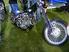 Cliquez ici pour voir l'image (DSCF2807.JPG)