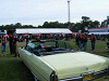 Cliquez ici pour voir l'image (DSCF2813.JPG)