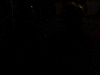 Cliquez ici pour voir l'image (DSCF2844.JPG)