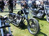 Cliquez ici pour voir l'image (DSCF2884.JPG)