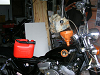 Cliquez ici pour voir l'image (DSCF0113.JPG)